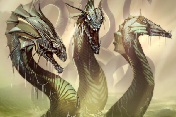 Kraken гидра