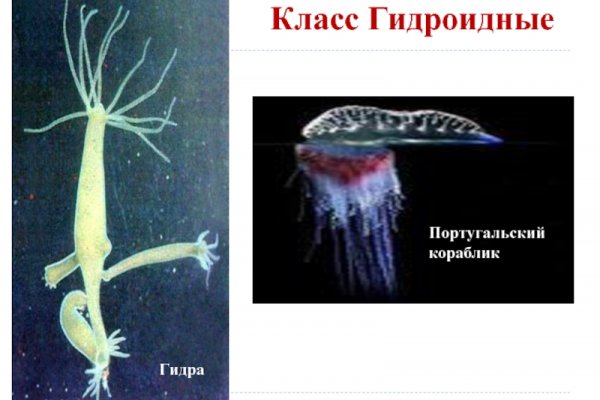Kra31at